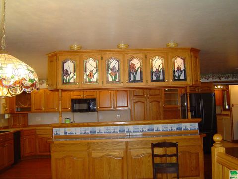 Tiny photo for 1690 290th Street, Rock Valley, IA 51247 (MLS # 830028)