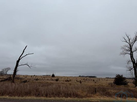 471ST AVE, BURBANK, SD 57010 - Image 86f456c8cf735aff7eae91331f894cef/1993038736