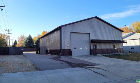 Photo of 410 Pine St, Sheldon, IA 51201 (MLS # 826719)