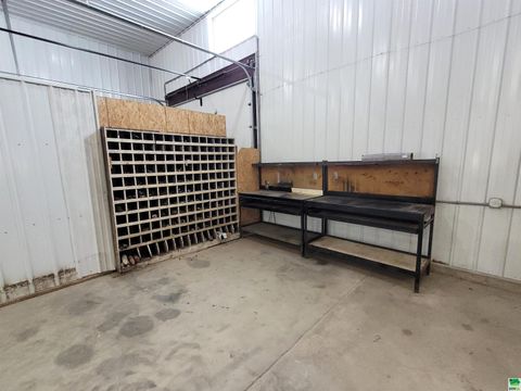 Tiny photo for 410 Pine St, Sheldon, IA 51201 (MLS # 826719)