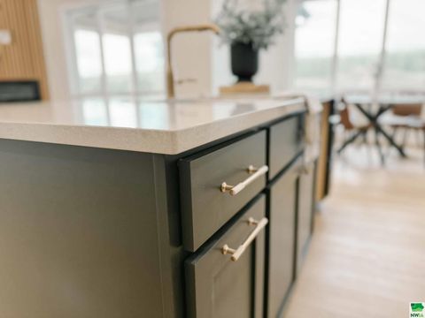 Tiny photo for 1102 14th St SE, Orange City, IA 51041 (MLS # 829938)