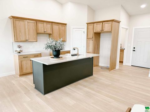 Tiny photo for 1102 14th St SE, Orange City, IA 51041 (MLS # 829938)