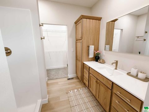 Tiny photo for 1102 14th St SE, Orange City, IA 51041 (MLS # 829938)