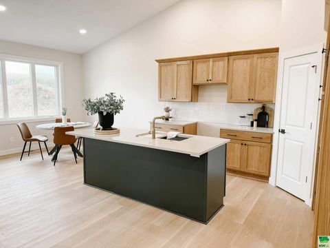 Tiny photo for 1102 14th St SE, Orange City, IA 51041 (MLS # 829938)