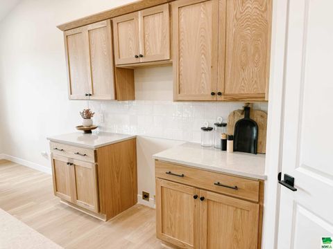 Tiny photo for 1102 14th St SE, Orange City, IA 51041 (MLS # 829938)