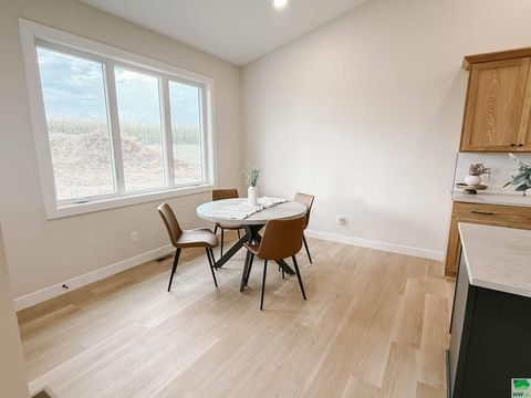 Tiny photo for 1102 14th St SE, Orange City, IA 51041 (MLS # 829938)