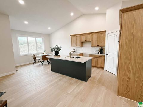 Tiny photo for 1102 14th St SE, Orange City, IA 51041 (MLS # 829938)