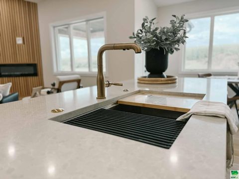 Tiny photo for 1102 14th St SE, Orange City, IA 51041 (MLS # 829938)