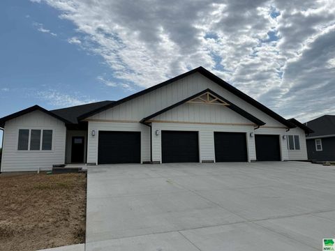 Tiny photo for 1102 14th St SE, Orange City, IA 51041 (MLS # 829938)