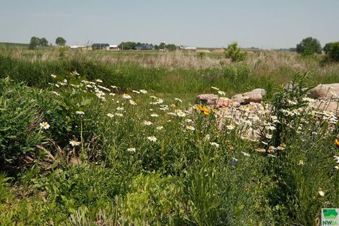 Tiny photo for 103 Andrews Court, Alton, IA 51003 (MLS # 829178)