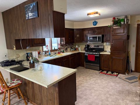 Tiny photo for 505 S Sherman St, Boyden, IA 51234 (MLS # 831283)