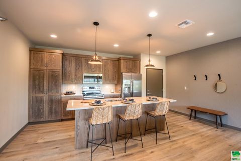 Tiny photo for 1311 Canal Court SE, Orange City, IA 51041 (MLS # 827733)