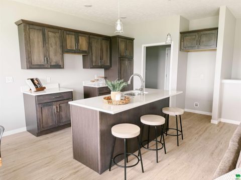 Tiny photo for 1616 14th St SE St, Orange City, IA 51041 (MLS # 826855)