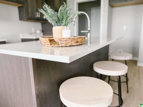 Tiny photo for 1616 14th St SE St, Orange City, IA 51041 (MLS # 826855)