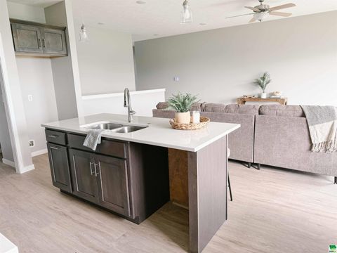 Tiny photo for 1616 14th St SE St, Orange City, IA 51041 (MLS # 826855)