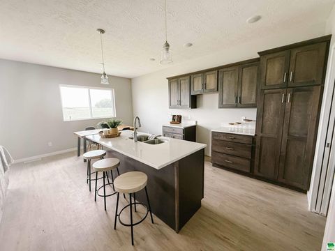 Tiny photo for 1616 14th St SE St, Orange City, IA 51041 (MLS # 826855)