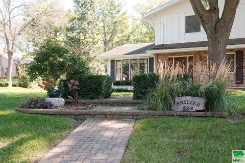 Tiny photo for 528 5th Ave SE Ave, Sioux Center, IA 51250 (MLS # 829953)