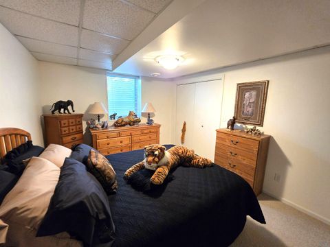 Tiny photo for 305 Juneau Ave SE Ave, Orange City, IA 51041 (MLS # 832228)