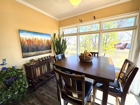 Tiny photo for 305 Juneau Ave SE Ave, Orange City, IA 51041 (MLS # 832228)