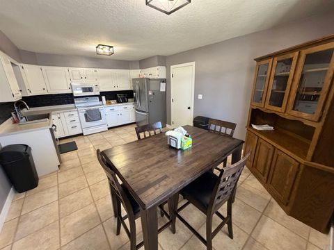 Tiny photo for 211 Wansink Avenue, Sheldon, IA 51201 (MLS # 831740)