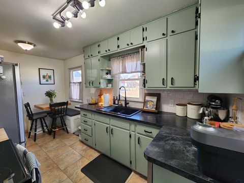 Tiny photo for 115 5th St SE St, Orange City, IA 51041 (MLS # 831896)