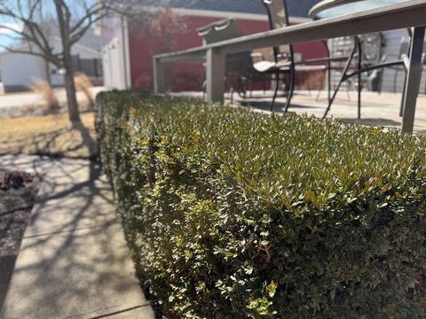 Tiny photo for 413 Central Ave SE Ave, Orange City, IA 51041 (MLS # 831986)