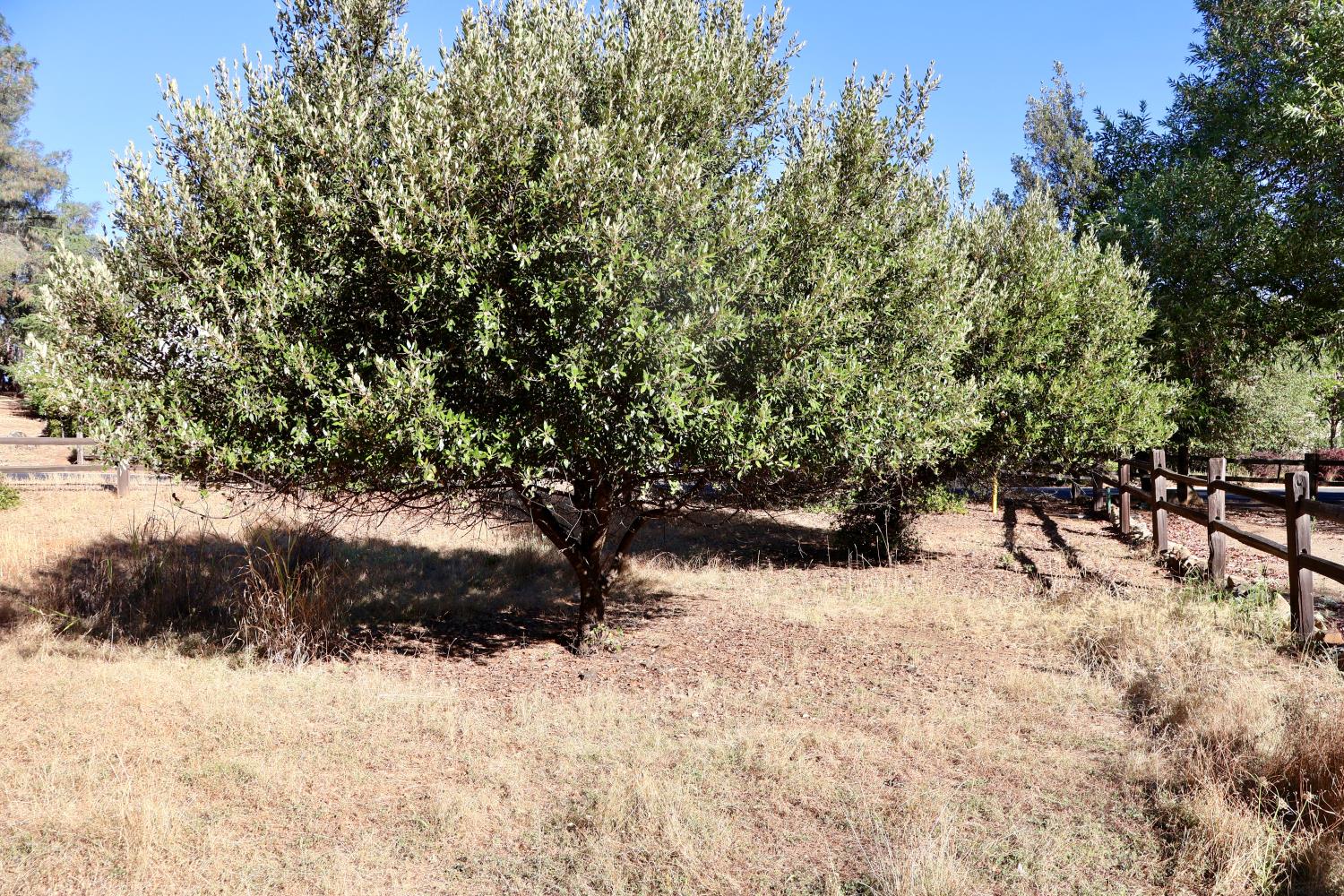 285 Smith Flat Road