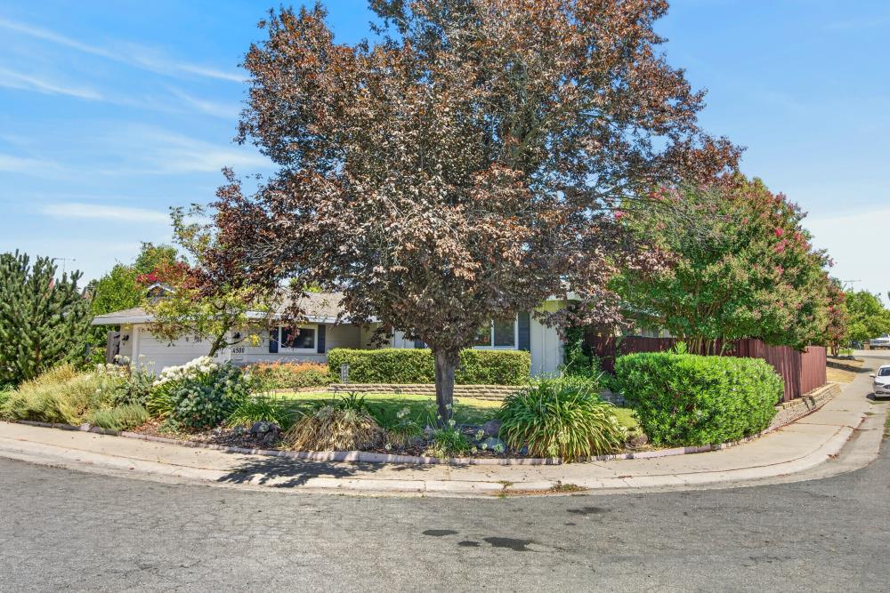 4500 Longhorn Street