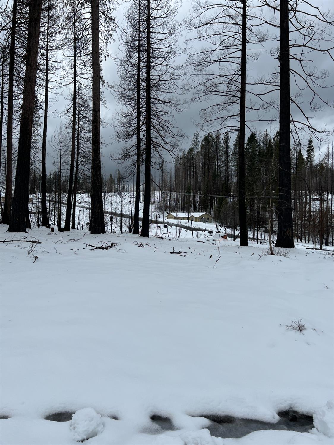 5139 Wooded Glen Road