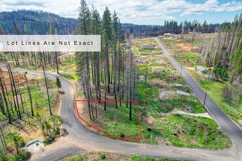 5139 Wooded Glen Road Grizzly Flats CA 95636