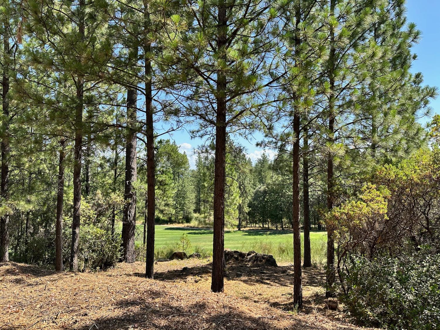 1825 E Summit View Drive