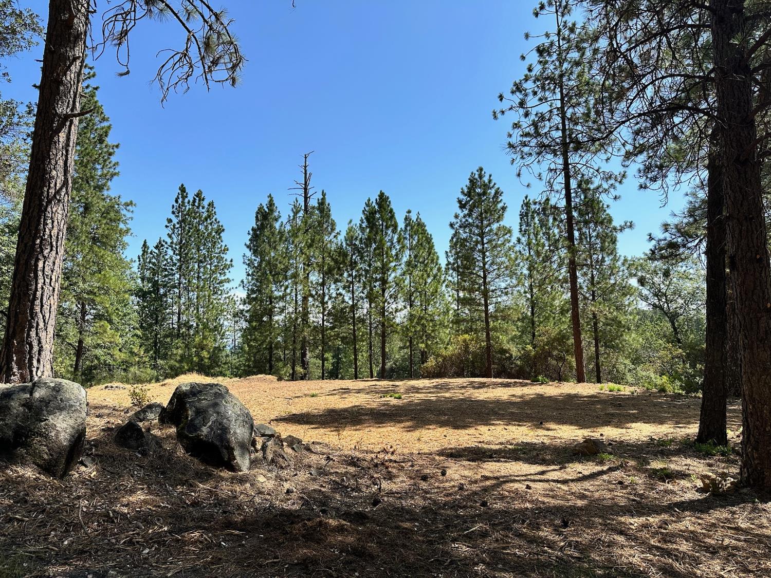 1825 E Summit View Drive