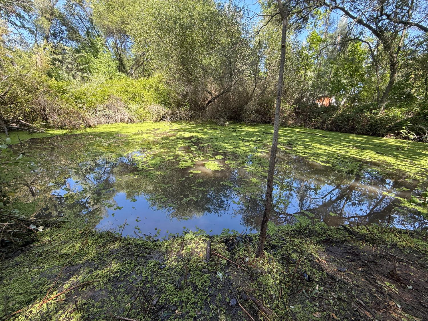 0 Indian Springs Road