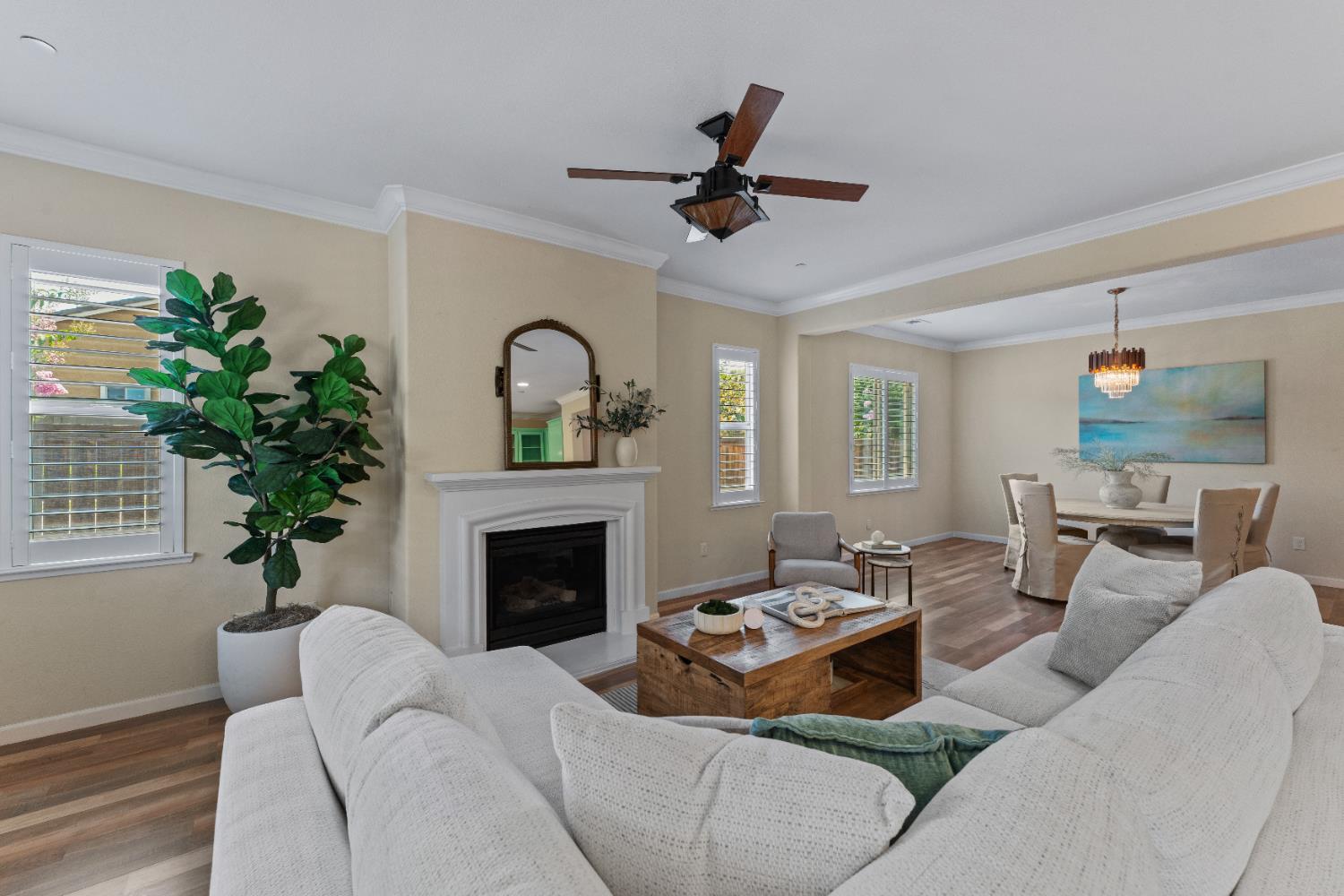 206 Calistoga Court