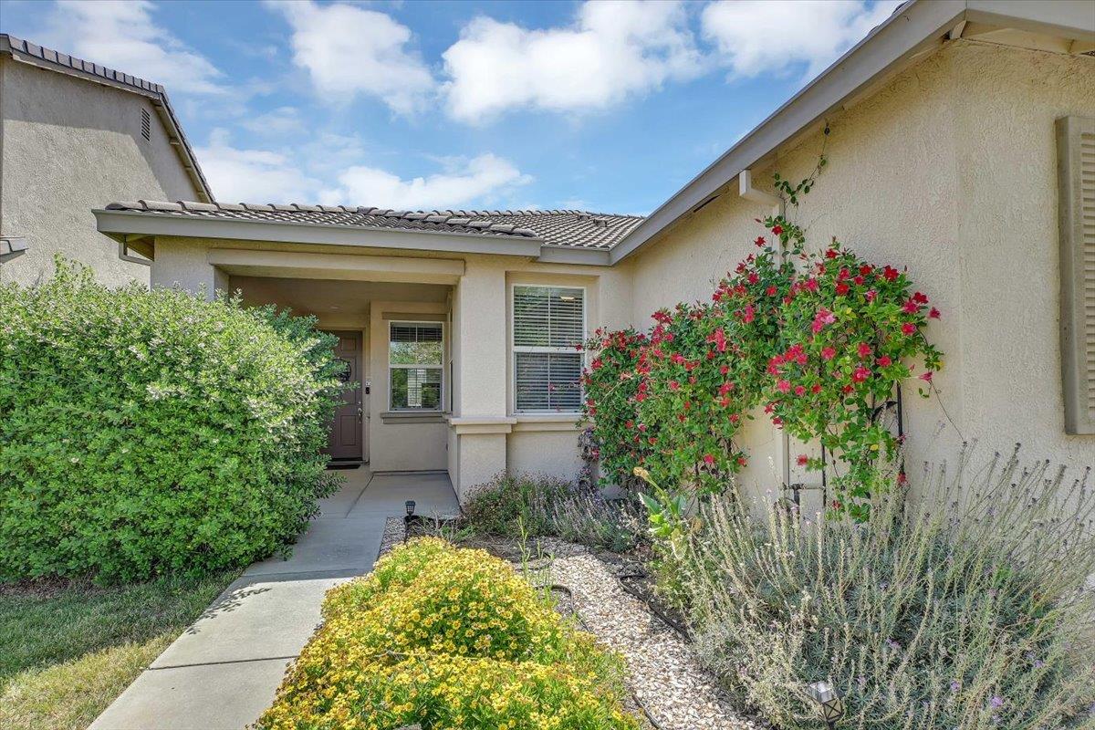 Marysville, California 95901, United States, 3 Bedrooms Bedrooms, ,2 BathroomsBathrooms,Residential,Active,147090