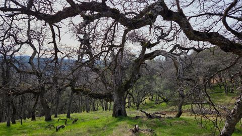 0 Palace Lane Placerville CA 95667