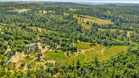 9425 Mosquito Road Placerville CA 95667