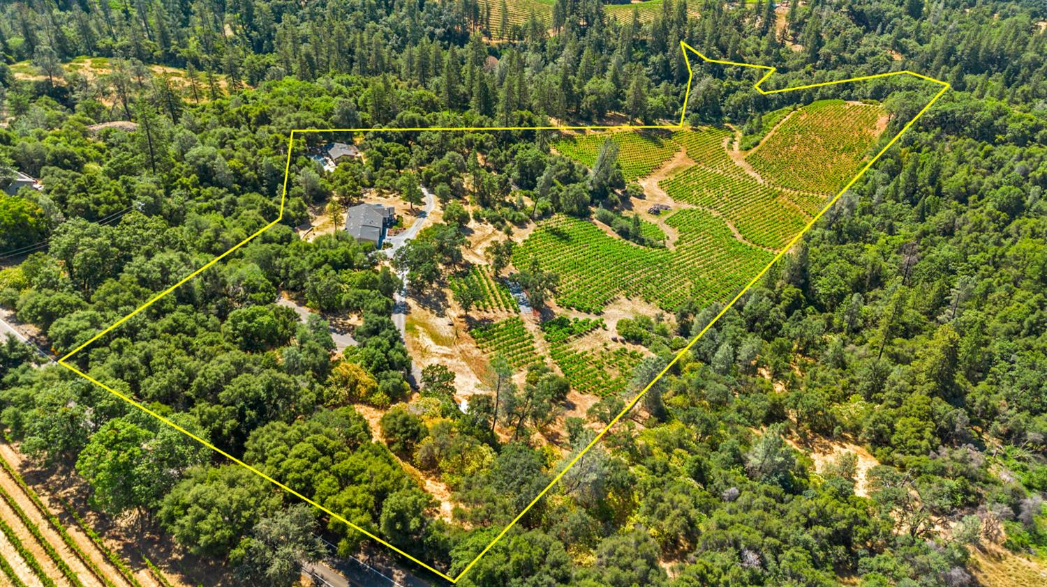 9425 Mosquito Road