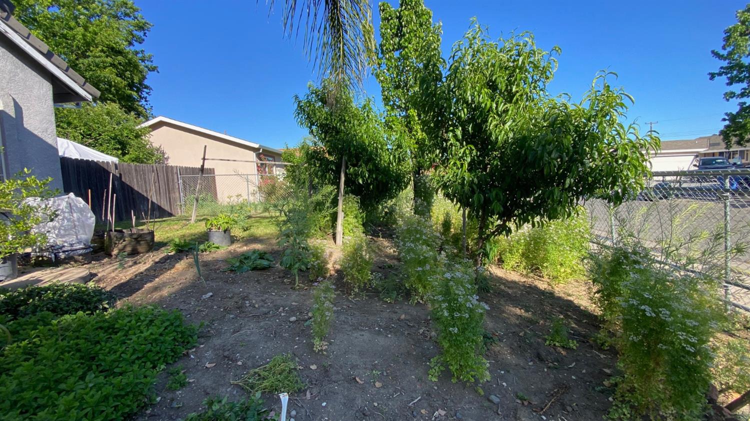 2715 Wood Violet Way