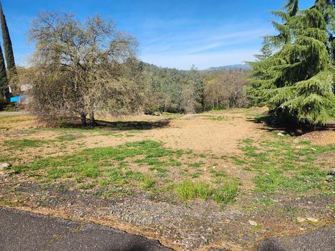 4464 Moccasin Court Copperopolis CA 95228