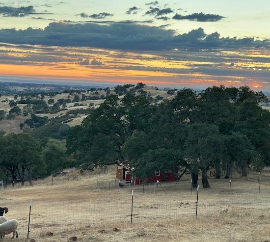 15100 Redemption Court # 155