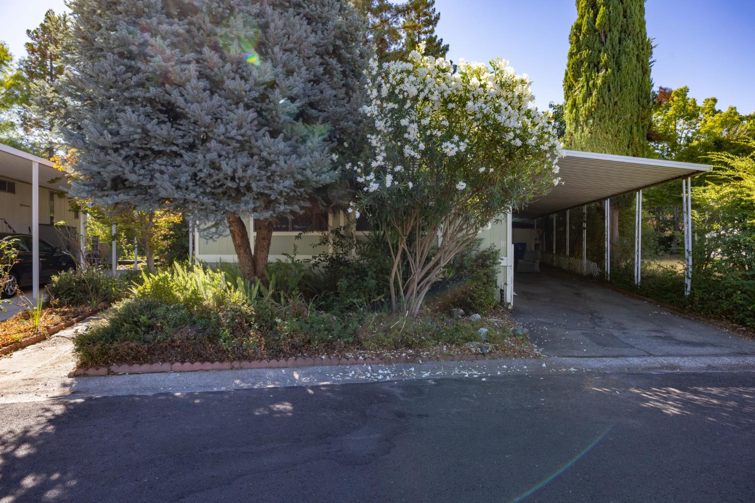 311 BLUEBIRD Lane