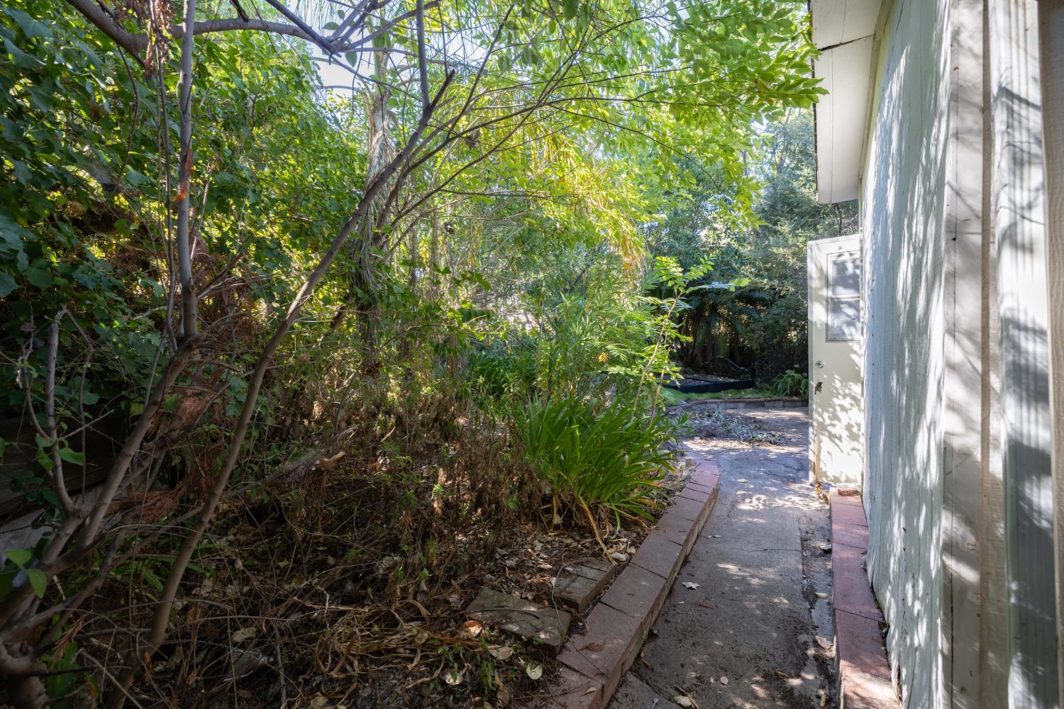 311 BLUEBIRD Lane