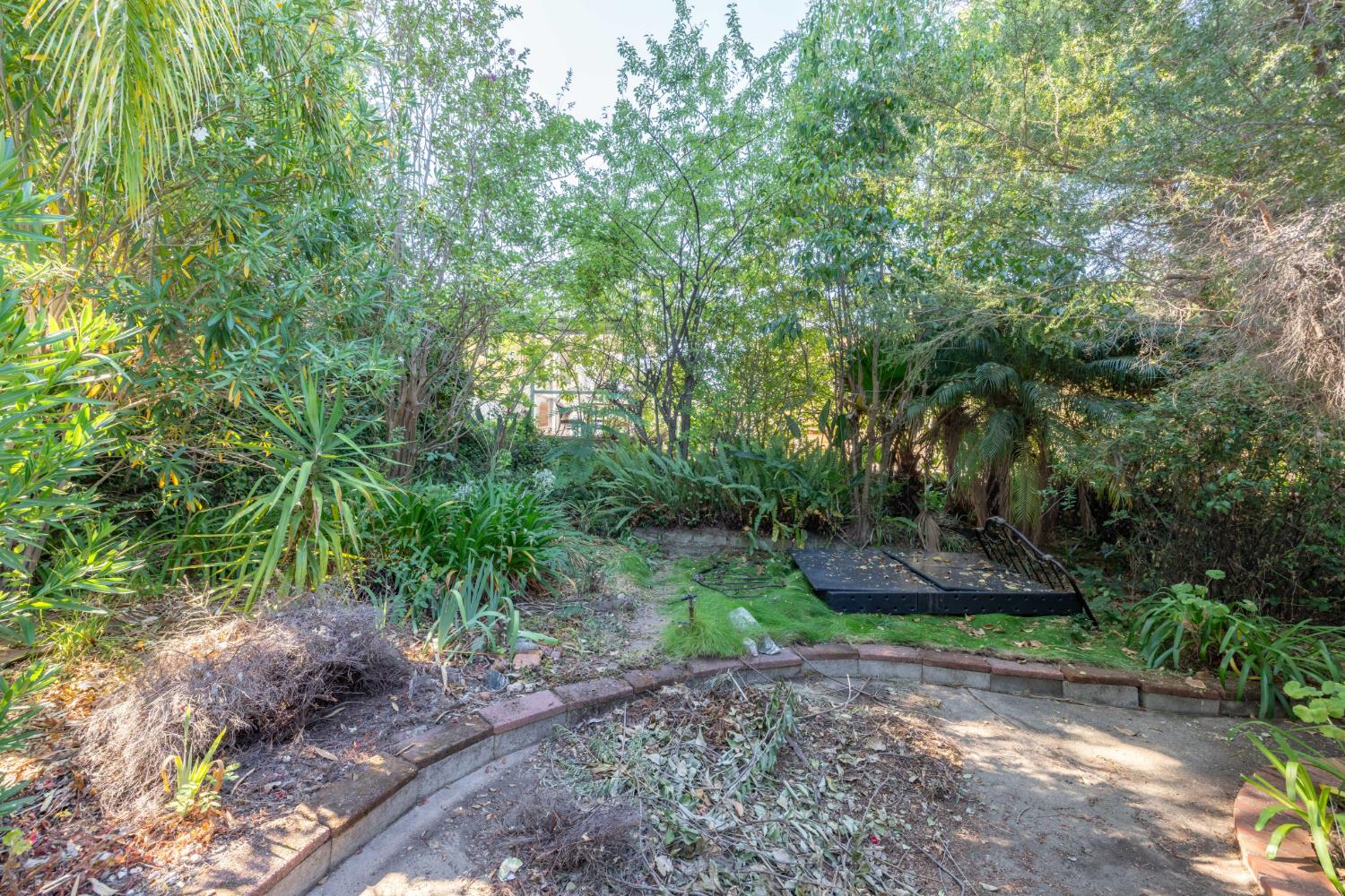 311 BLUEBIRD Lane
