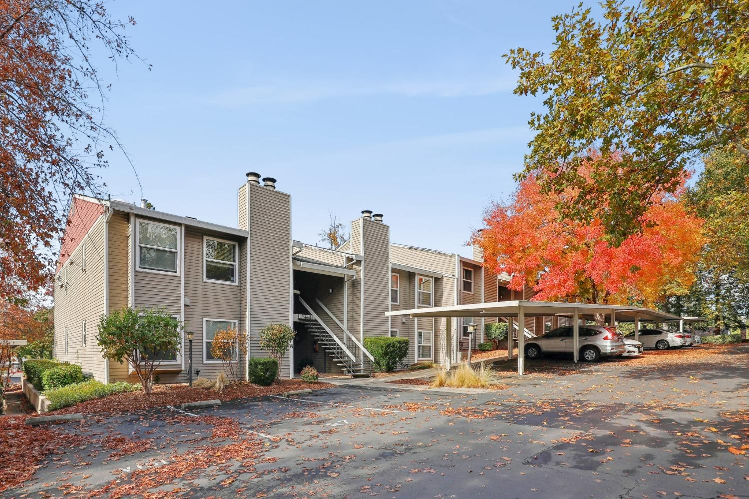 7121 Stella Lane 25