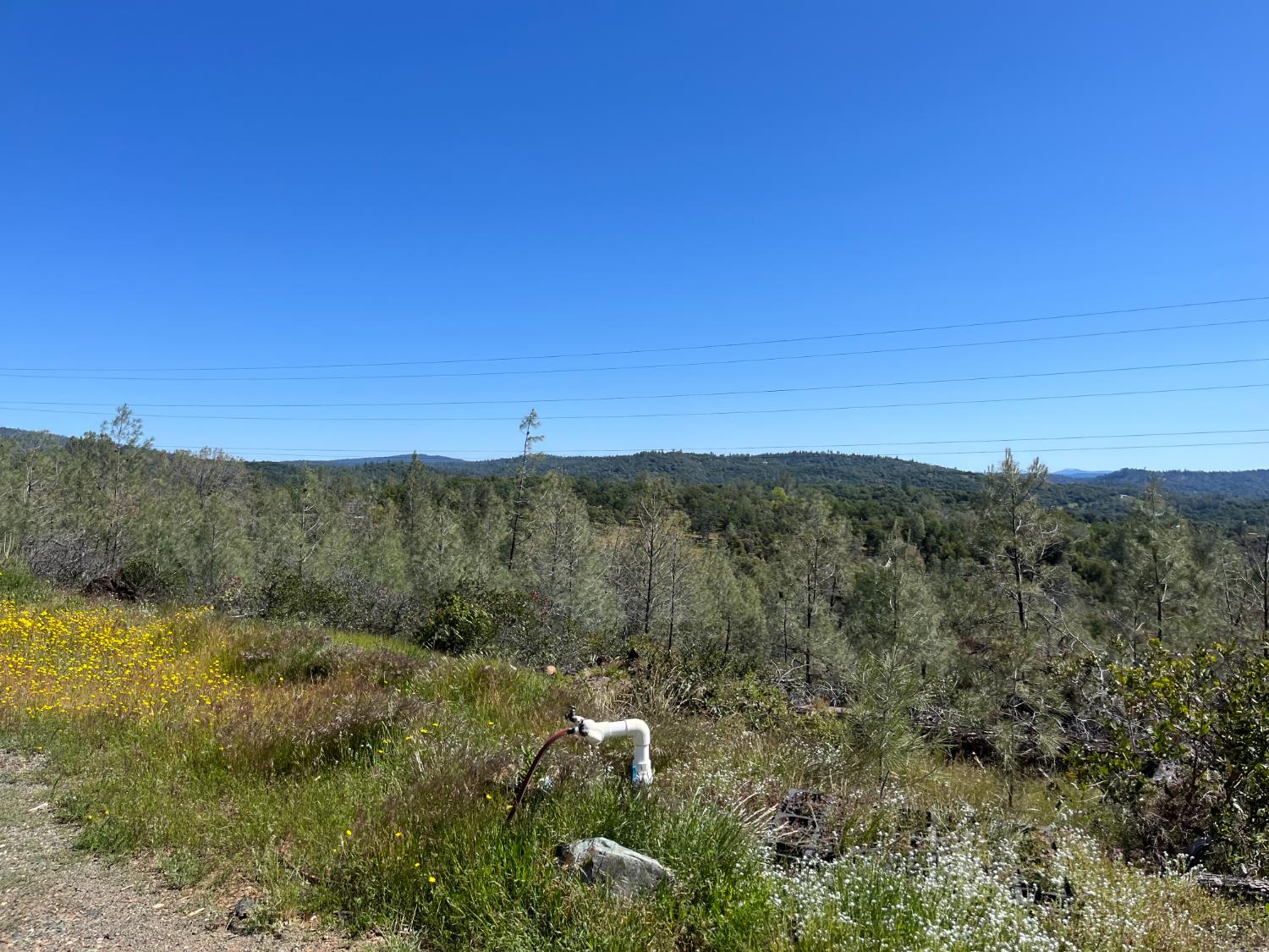 22486 Cottage Hill Drive