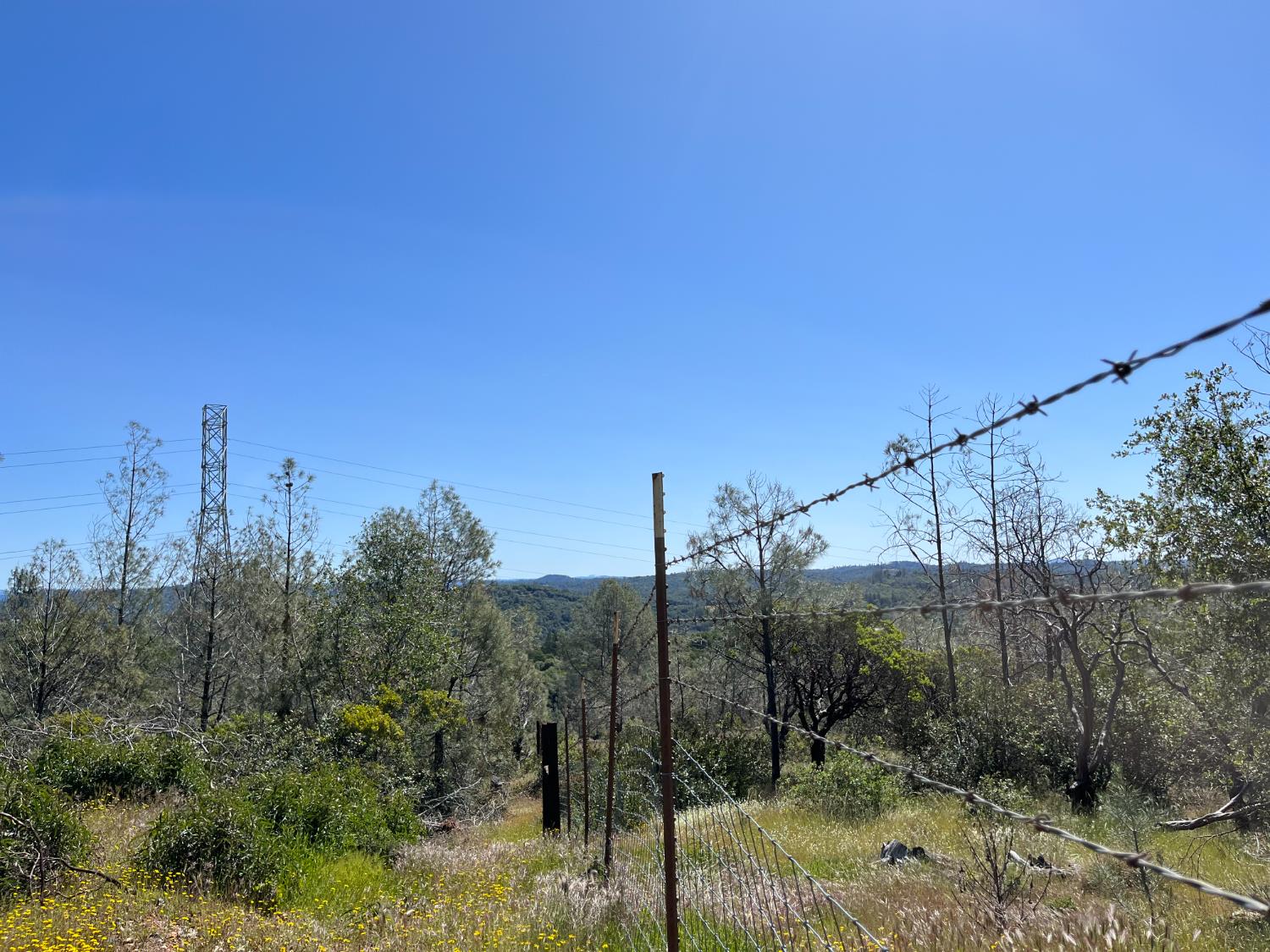 22486 Cottage Hill Drive
