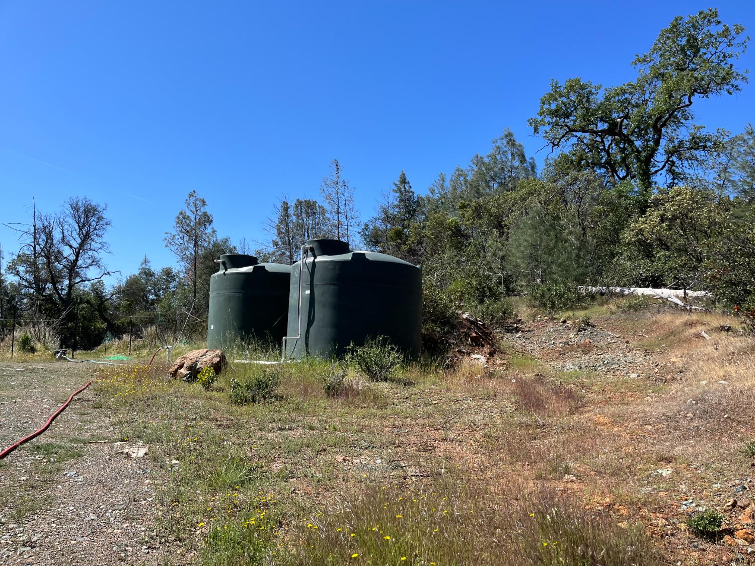 22486 Cottage Hill Drive