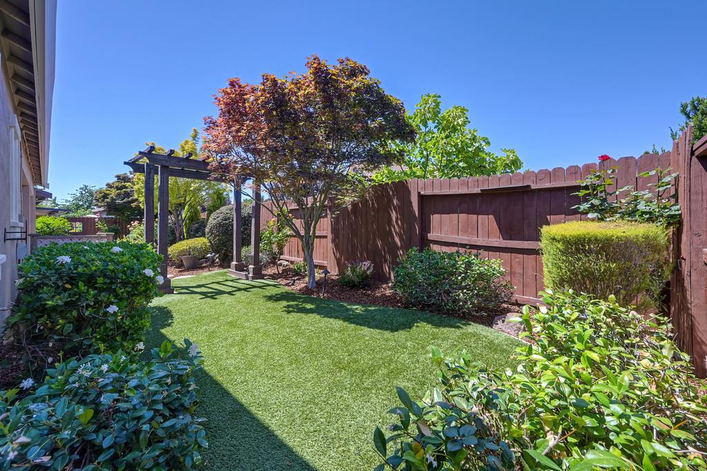 2438 Langtree Drive