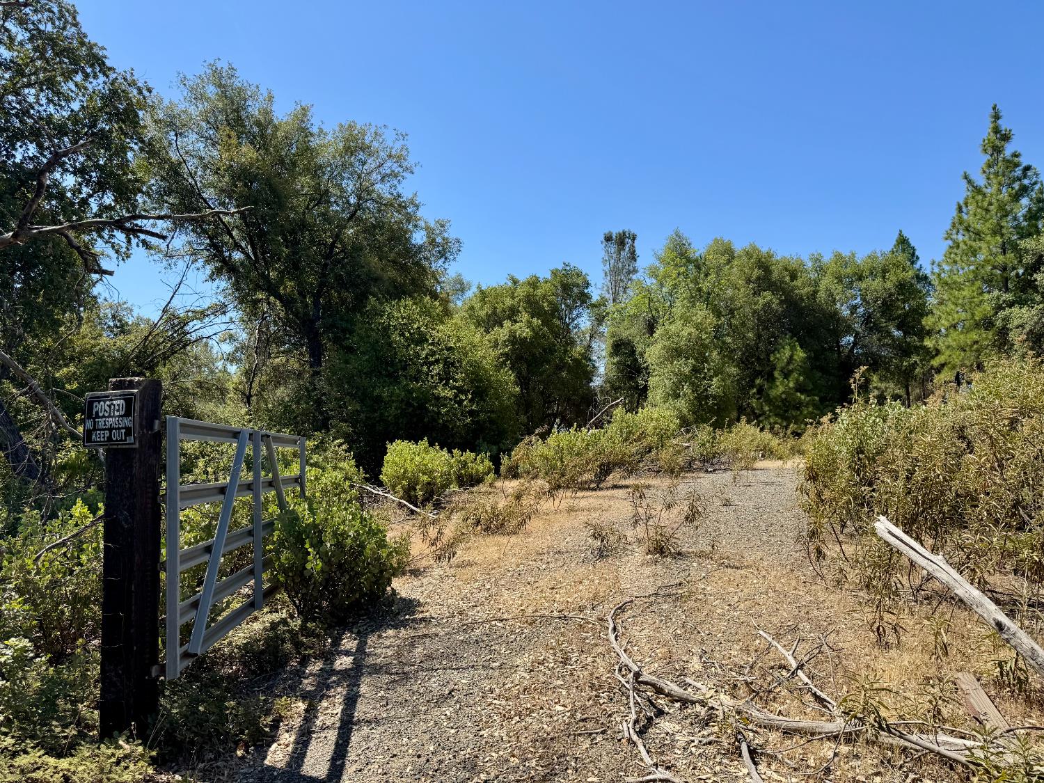 9055 Rodesino Road